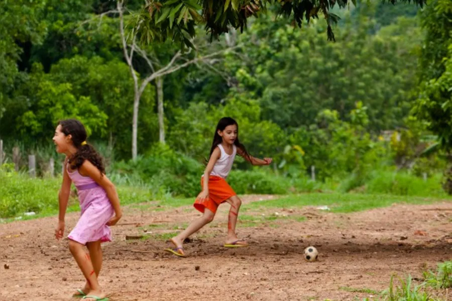 DESBRAVADORES - A Amazônia com sotaque do Paraná