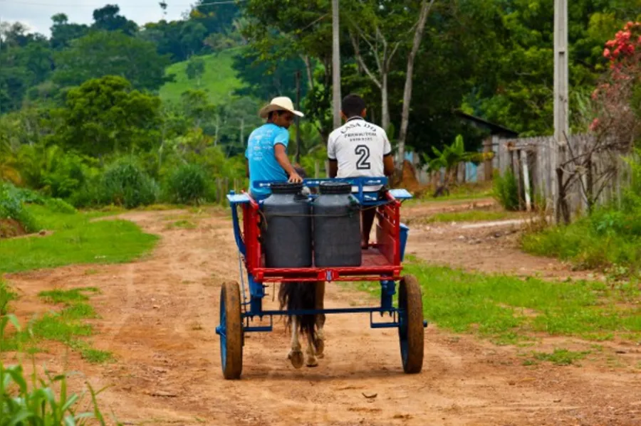 DESBRAVADORES - A Amazônia com sotaque do Paraná