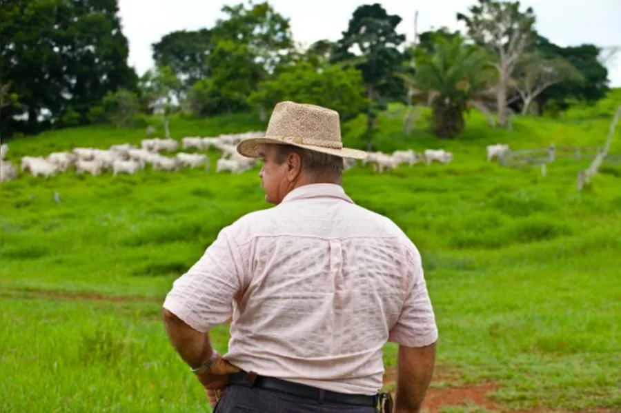 DESBRAVADORES - A Amazônia com sotaque do Paraná