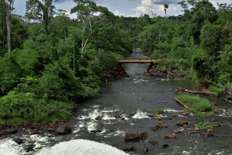DESBRAVADORES - A Amazônia com sotaque do Paraná