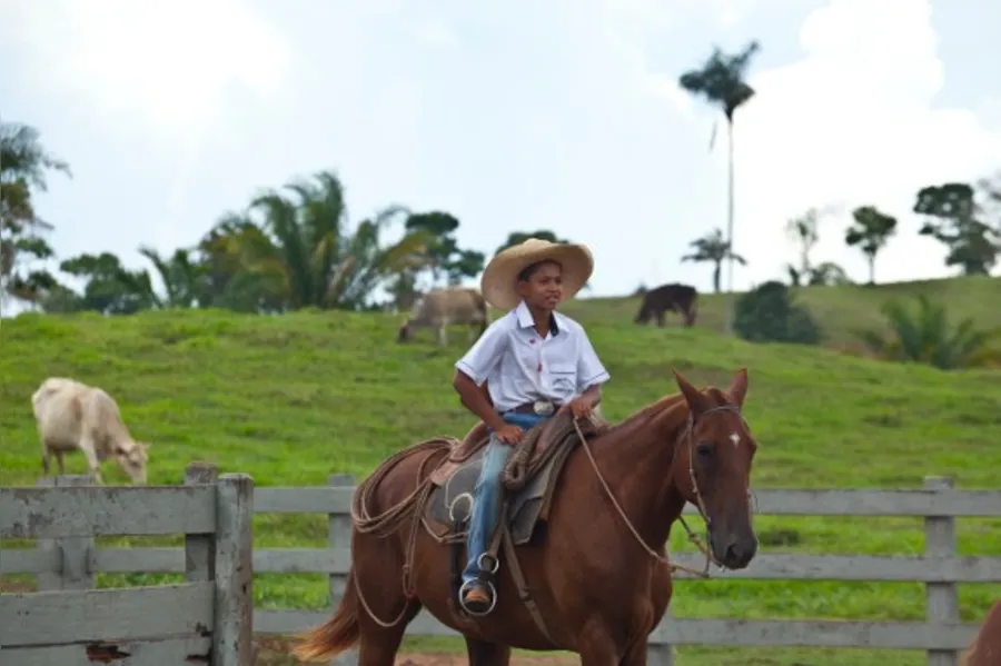 DESBRAVADORES - A Amazônia com sotaque do Paraná