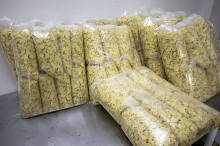 Sai o fumo, entra o cogumelo