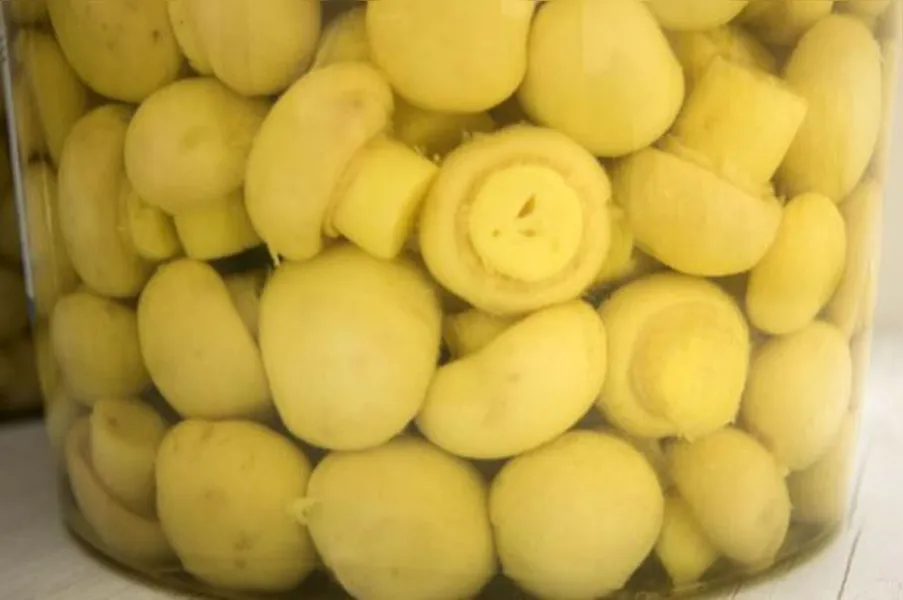 Sai o fumo, entra o cogumelo