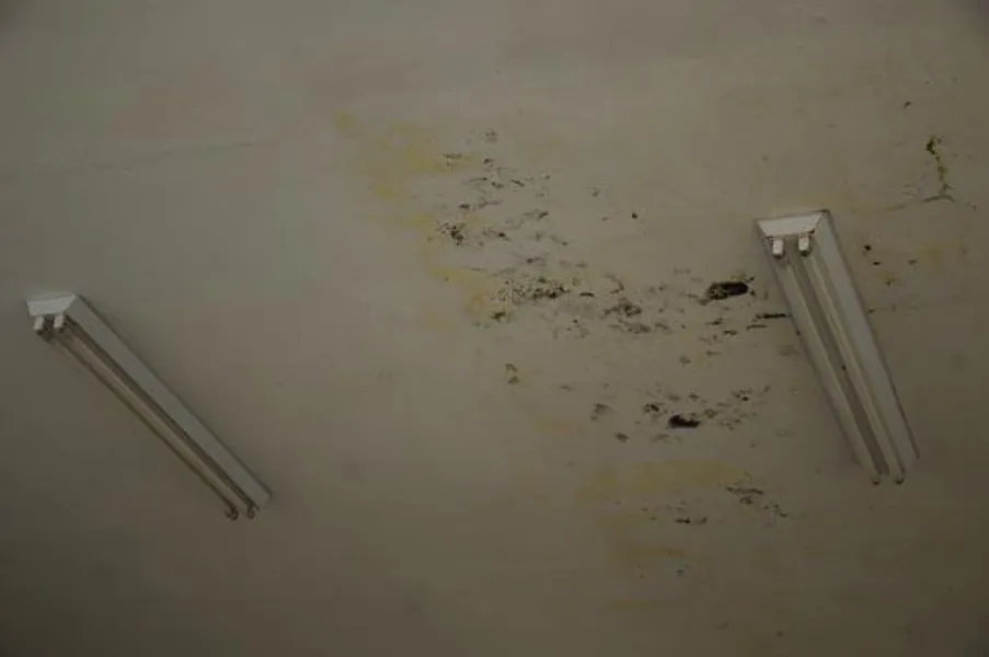 Escola municipal é interditada na volta às aulas