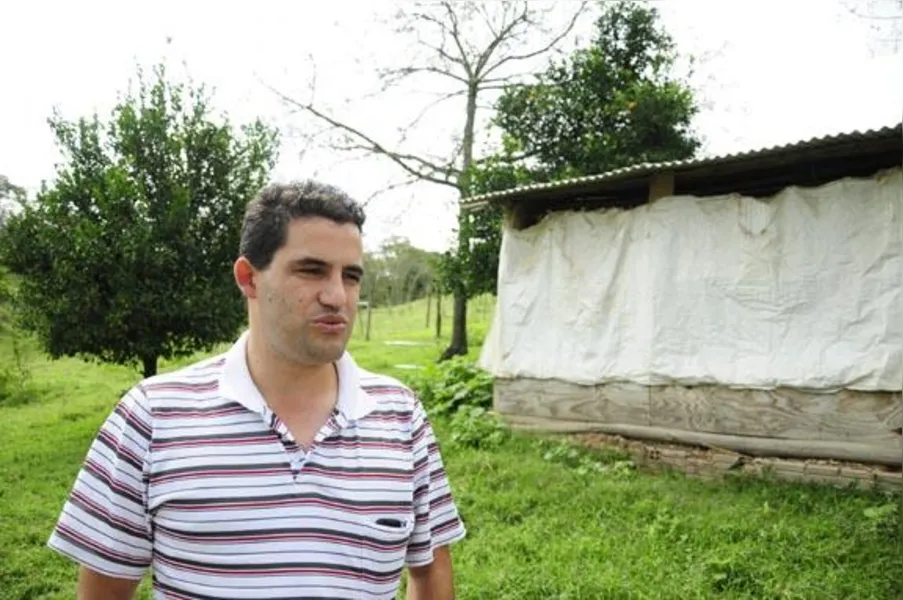 Apostando na produção de frango caipira