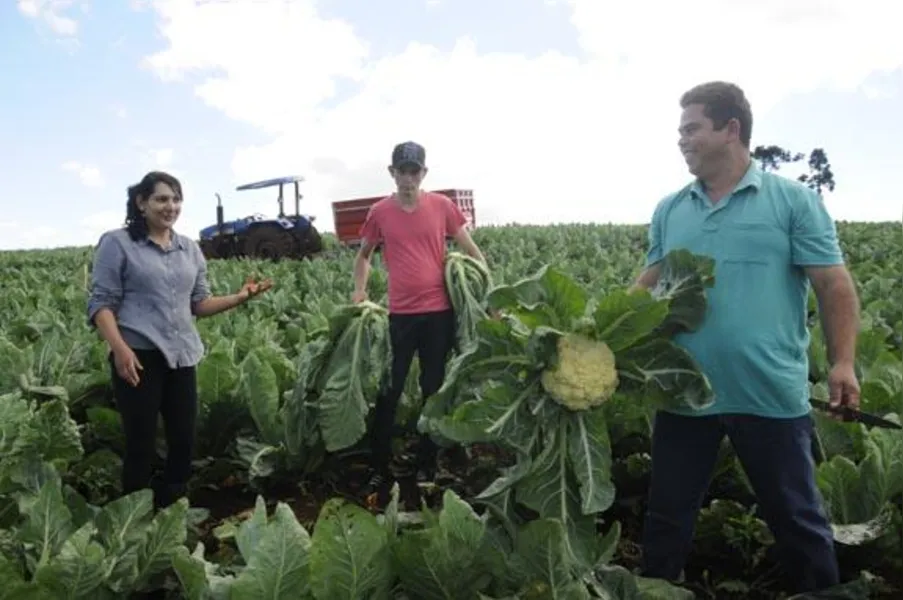 Caderninho em mãos e felicidade no campo