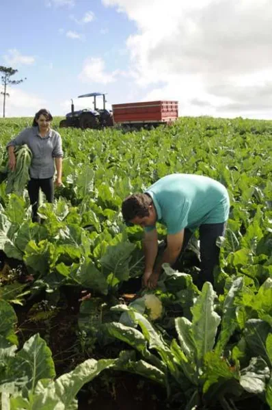 Caderninho em mãos e felicidade no campo