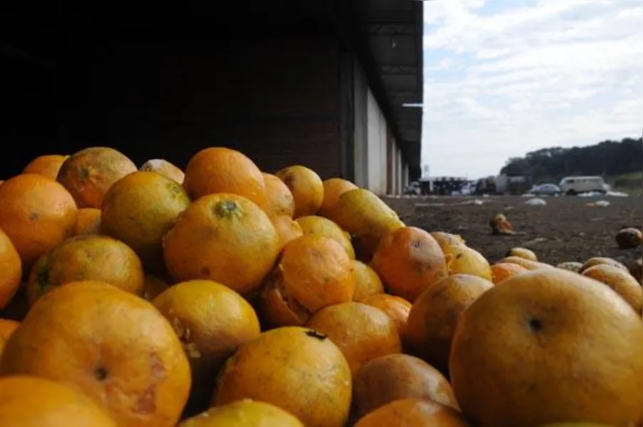Pregão para boxes da Ceasa atrai poucos interessados
