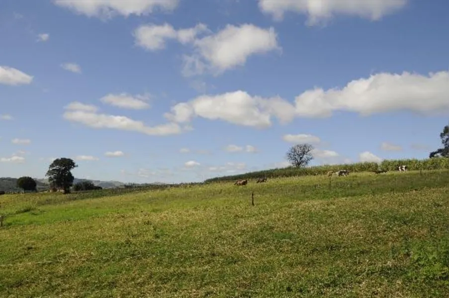 O potencial do leite na agricultura familiar