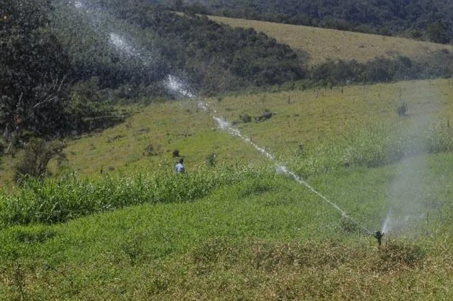 O potencial do leite na agricultura familiar