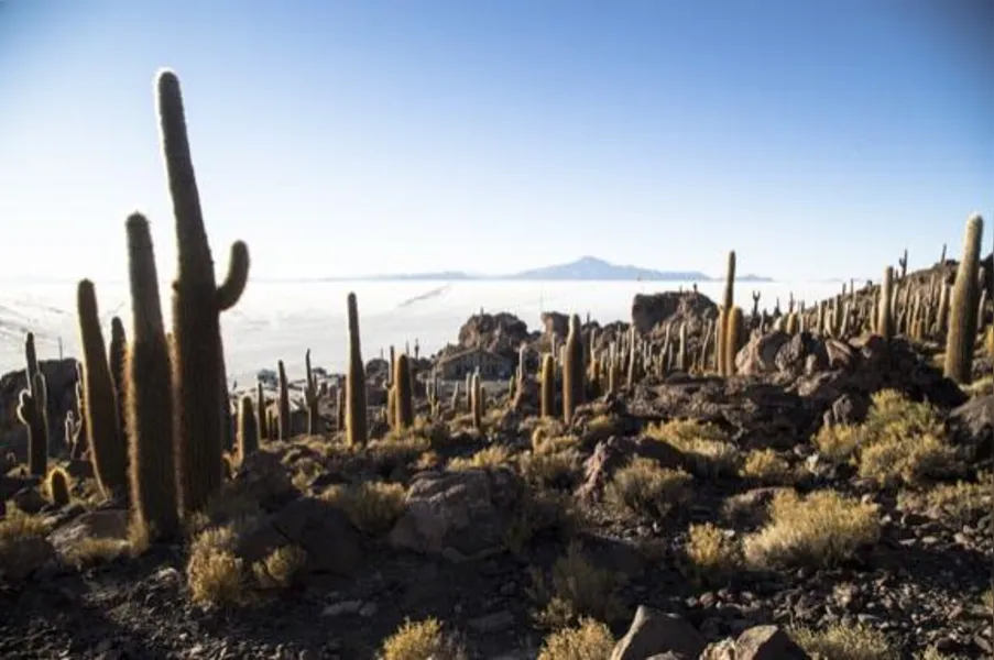 TURISMO - Descubra o deserto de sal
