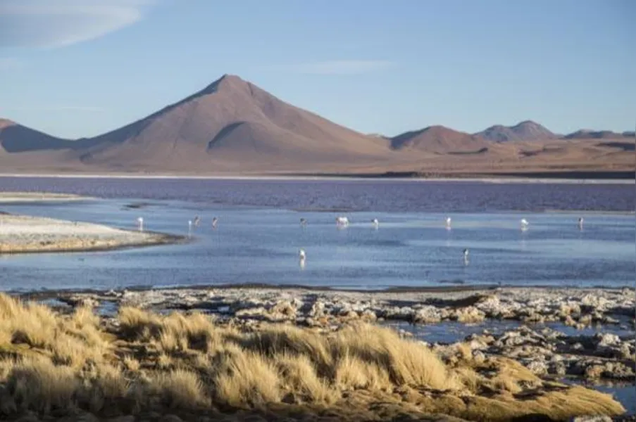 TURISMO - Descubra o deserto de sal