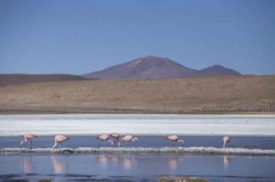 TURISMO - Descubra o deserto de sal