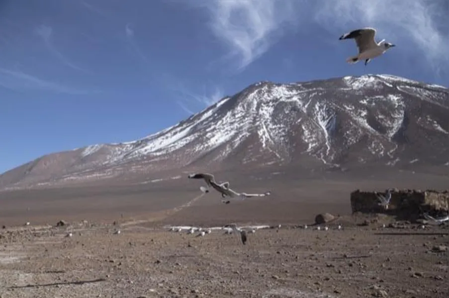 TURISMO - Descubra o deserto de sal