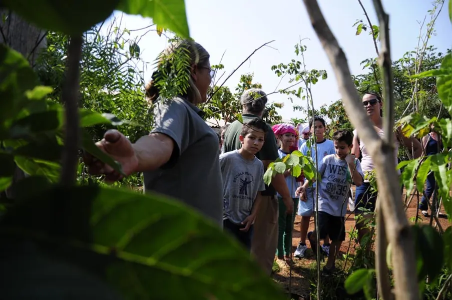 Aula prática e contato com a natureza no Viveiro Municipal
