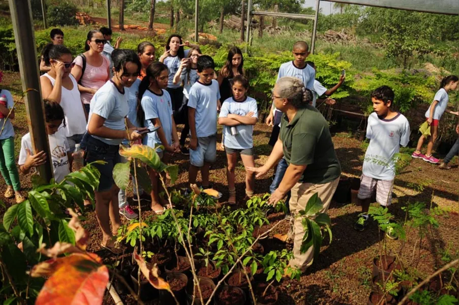 Aula prática e contato com a natureza no Viveiro Municipal