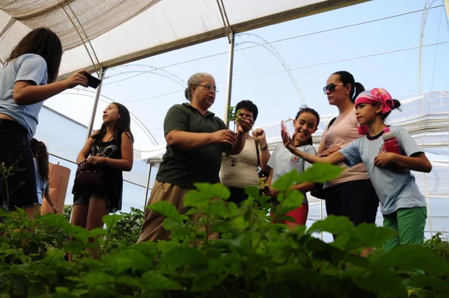 Aula prática e contato com a natureza no Viveiro Municipal
