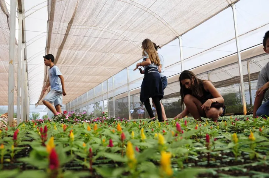 Aula prática e contato com a natureza no Viveiro Municipal