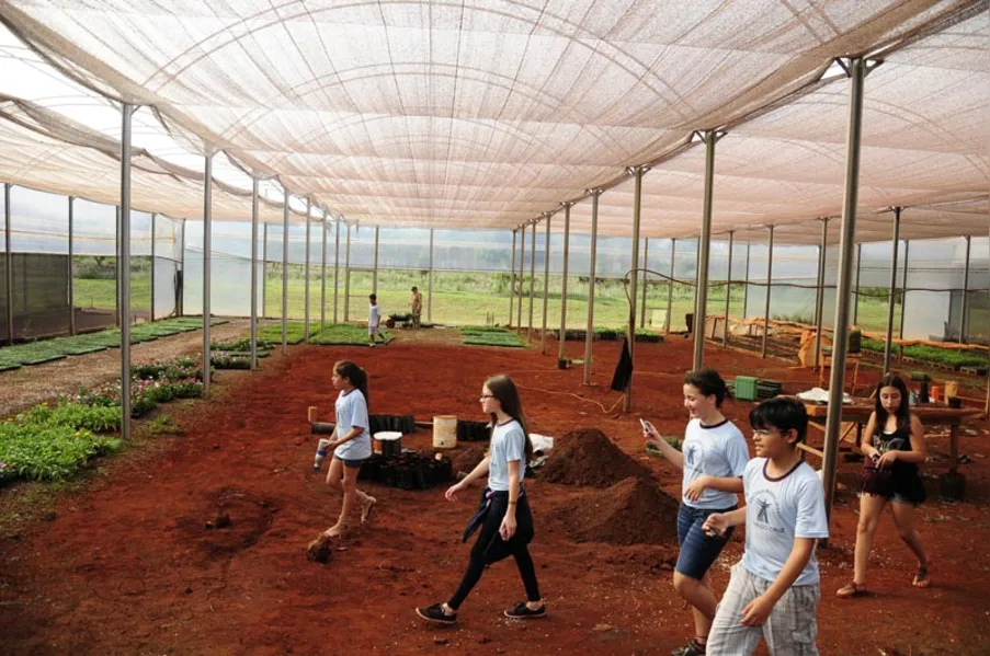 Aula prática e contato com a natureza no Viveiro Municipal