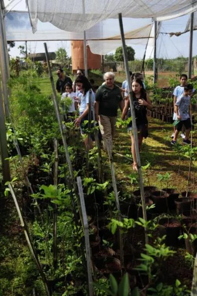 Aula prática e contato com a natureza no Viveiro Municipal