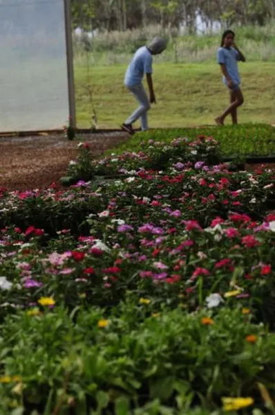 Aula prática e contato com a natureza no Viveiro Municipal