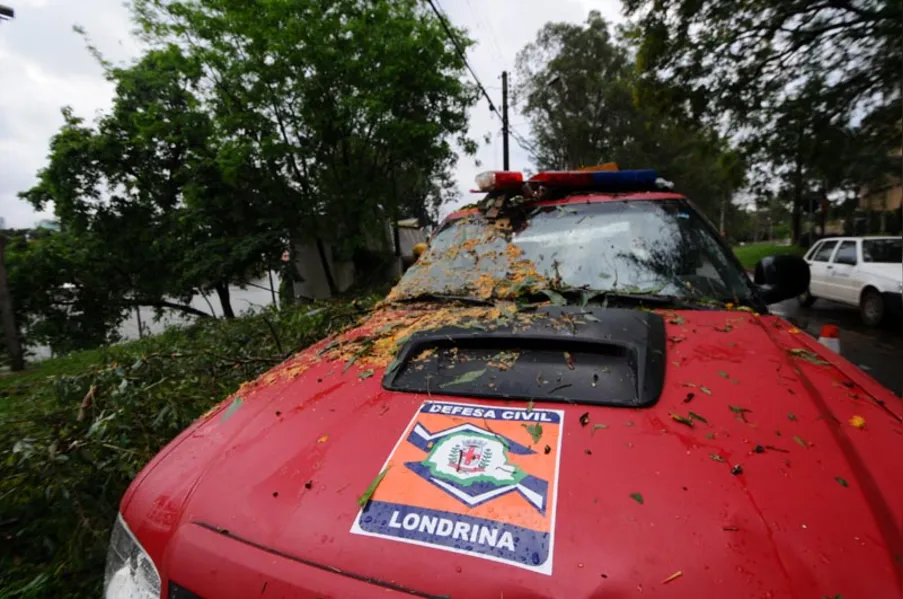 Vento derruba árvores e causa estragos