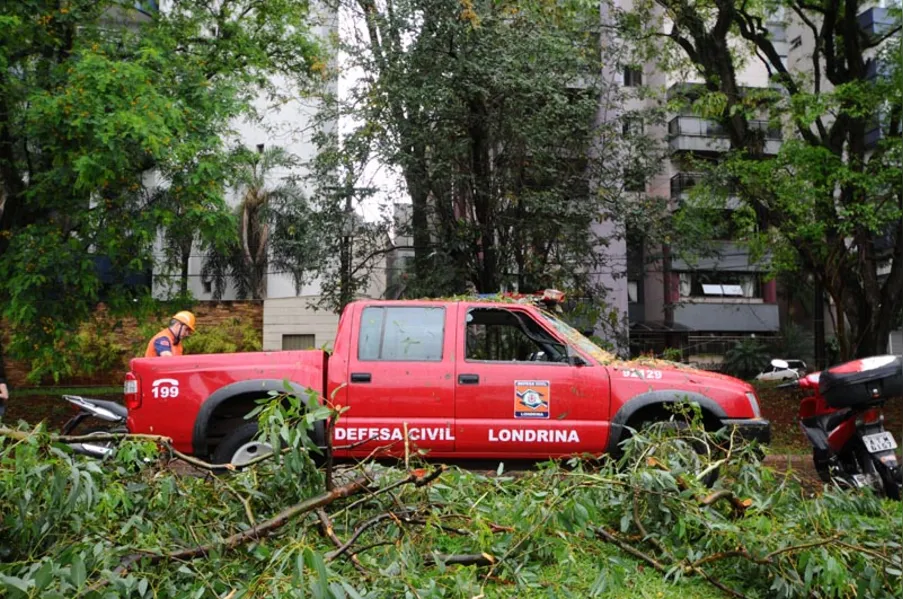 Vento derruba árvores e causa estragos