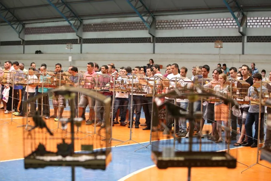 Música para os ouvidos dos criadores
