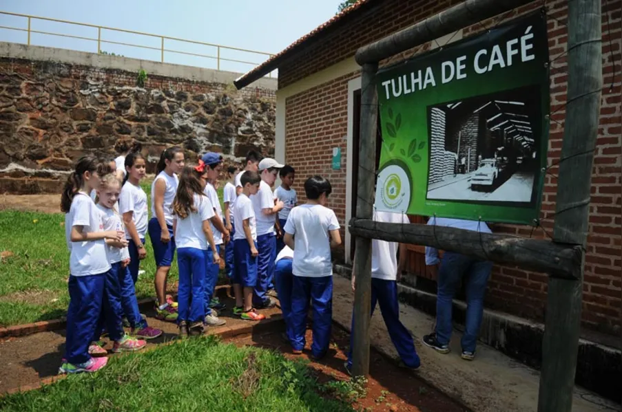 EDUCAÇÃO AMBIENTAL - História vista de dentro da mata
