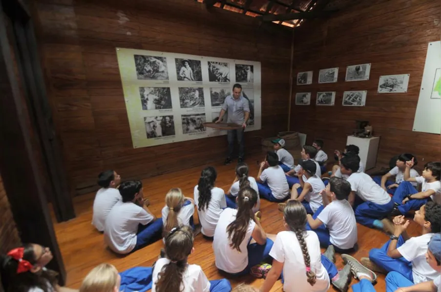 EDUCAÇÃO AMBIENTAL - História vista de dentro da mata