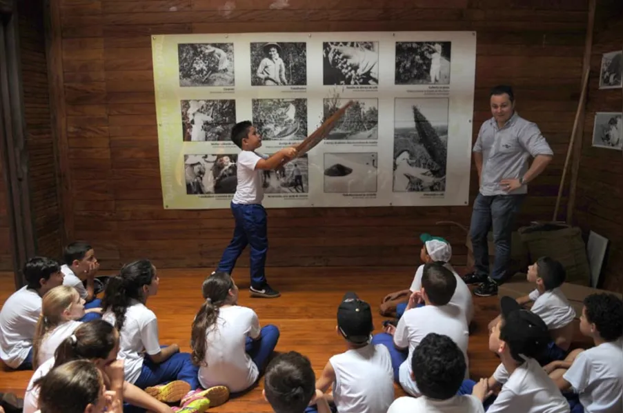 EDUCAÇÃO AMBIENTAL - História vista de dentro da mata