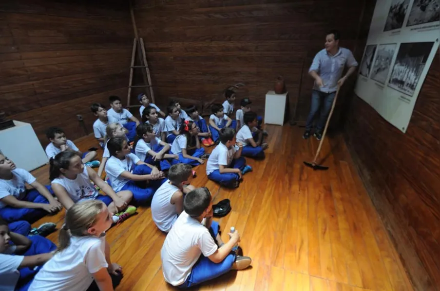 EDUCAÇÃO AMBIENTAL - História vista de dentro da mata