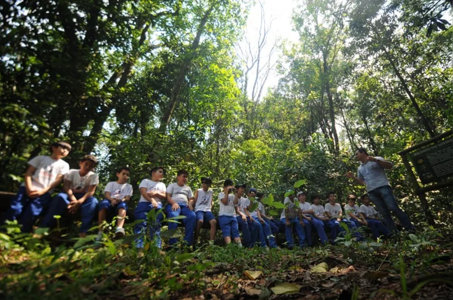 EDUCAÇÃO AMBIENTAL - História vista de dentro da mata