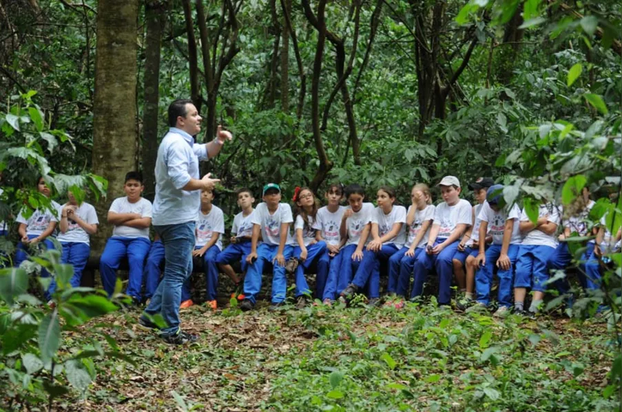 EDUCAÇÃO AMBIENTAL - História vista de dentro da mata