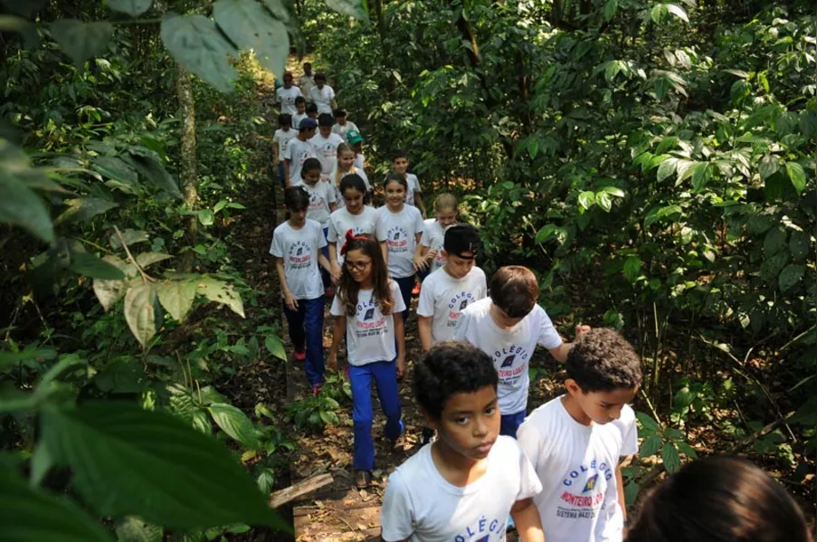 EDUCAÇÃO AMBIENTAL - História vista de dentro da mata
