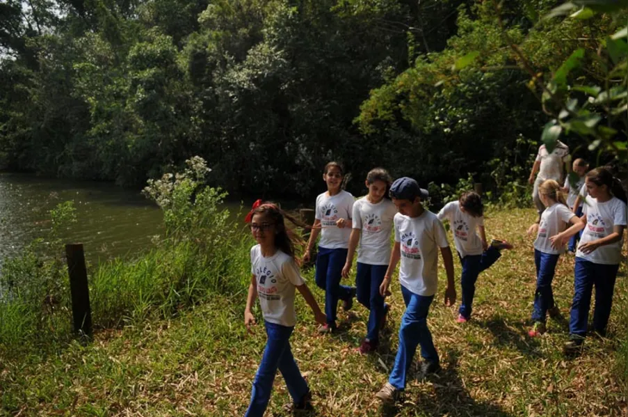 EDUCAÇÃO AMBIENTAL - História vista de dentro da mata