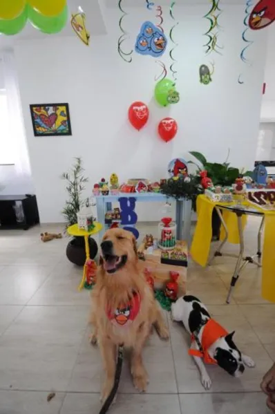Espaço PET - Aniversário bom pra cachorro!