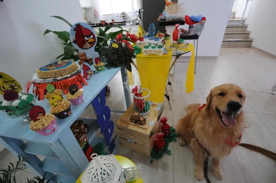 Espaço PET - Aniversário bom pra cachorro!