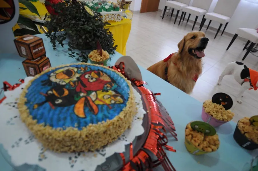 Espaço PET - Aniversário bom pra cachorro!