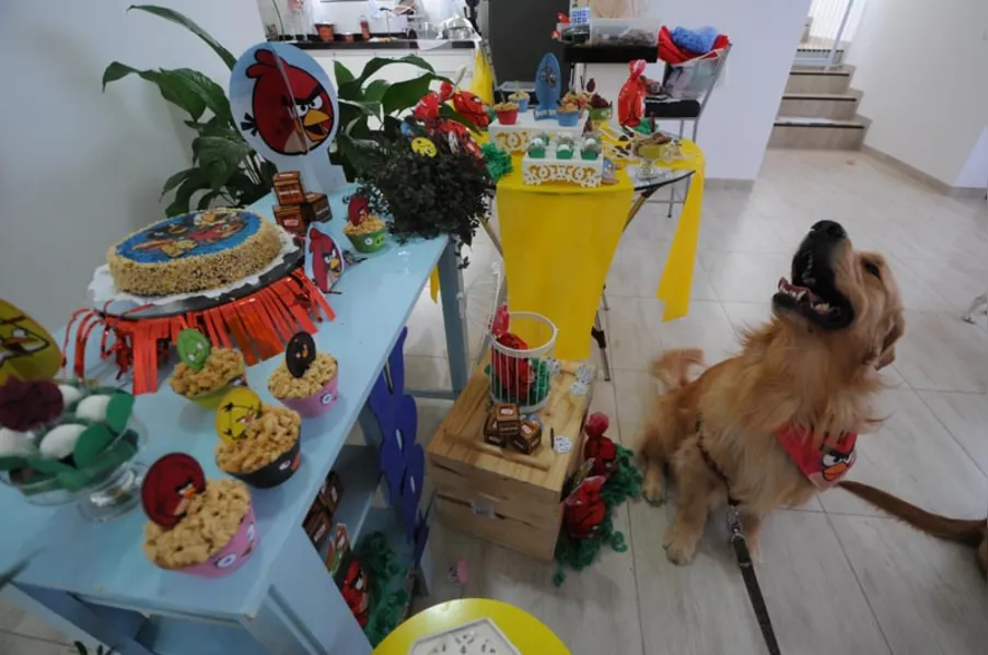 Espaço PET - Aniversário bom pra cachorro!