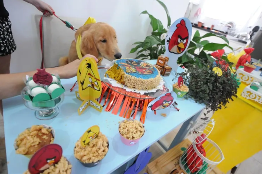 Espaço PET - Aniversário bom pra cachorro!