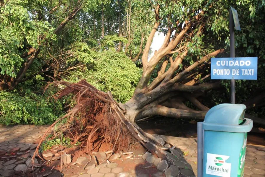 Perdas em Marechal Cândido Rondon ultrapassam R$ 40 mi