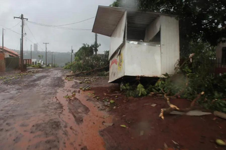 Perdas em Marechal Cândido Rondon ultrapassam R$ 40 mi