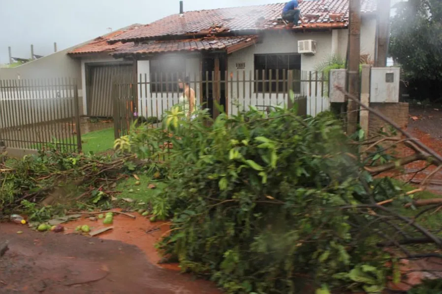 Perdas em Marechal Cândido Rondon ultrapassam R$ 40 mi