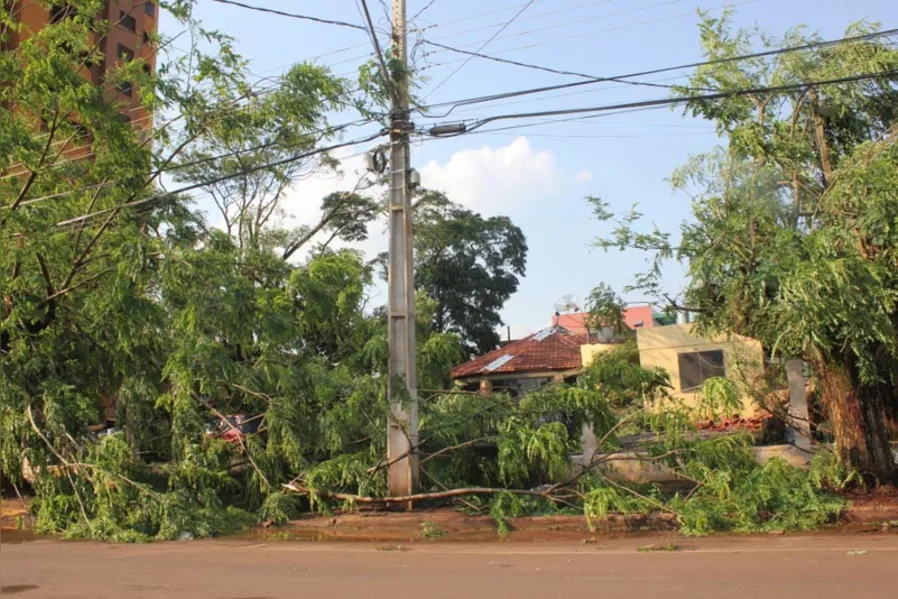 Perdas em Marechal Cândido Rondon ultrapassam R$ 40 mi