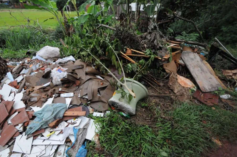 Londrina enfrenta risco de epidemia de dengue hemorrágica