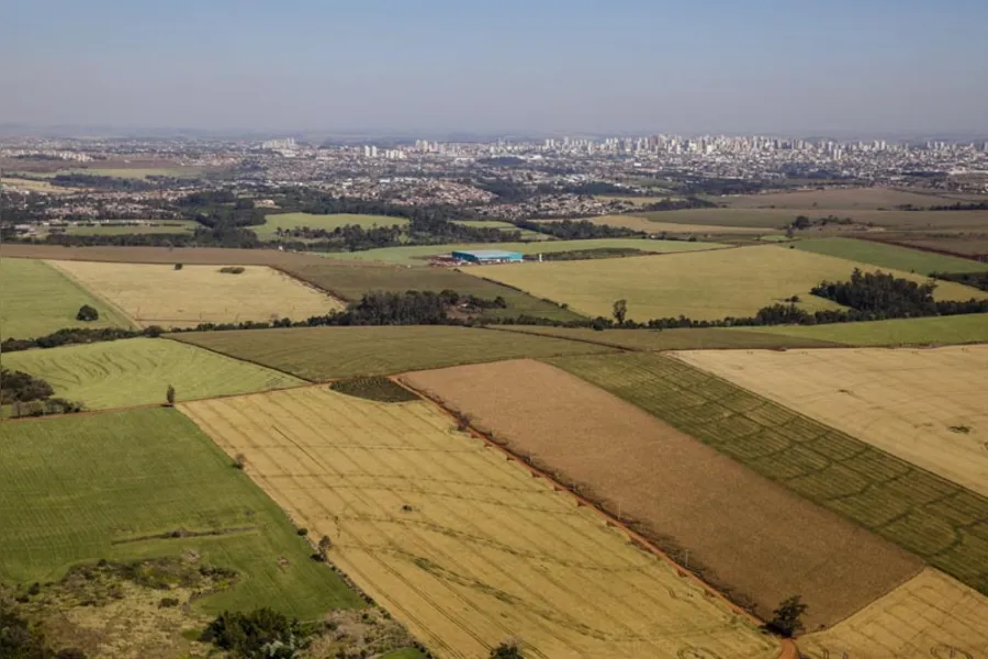 O presente de Londrina!