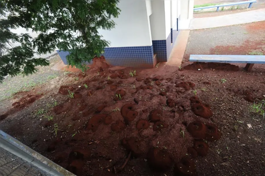 Obra em capela mortuária é alvo de reclamações