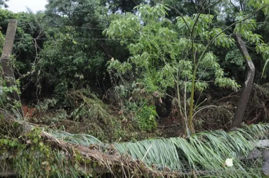 Após chuva recorde, prefeitura decreta estado de emergência