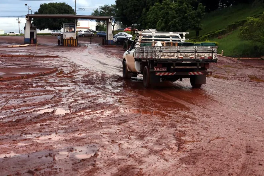 Mercadorias disparam até 300% na Ceasa